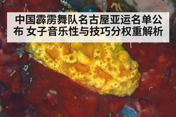 中国霹雳舞队名古屋亚运名单公布 女子音乐性与技巧分权重解析